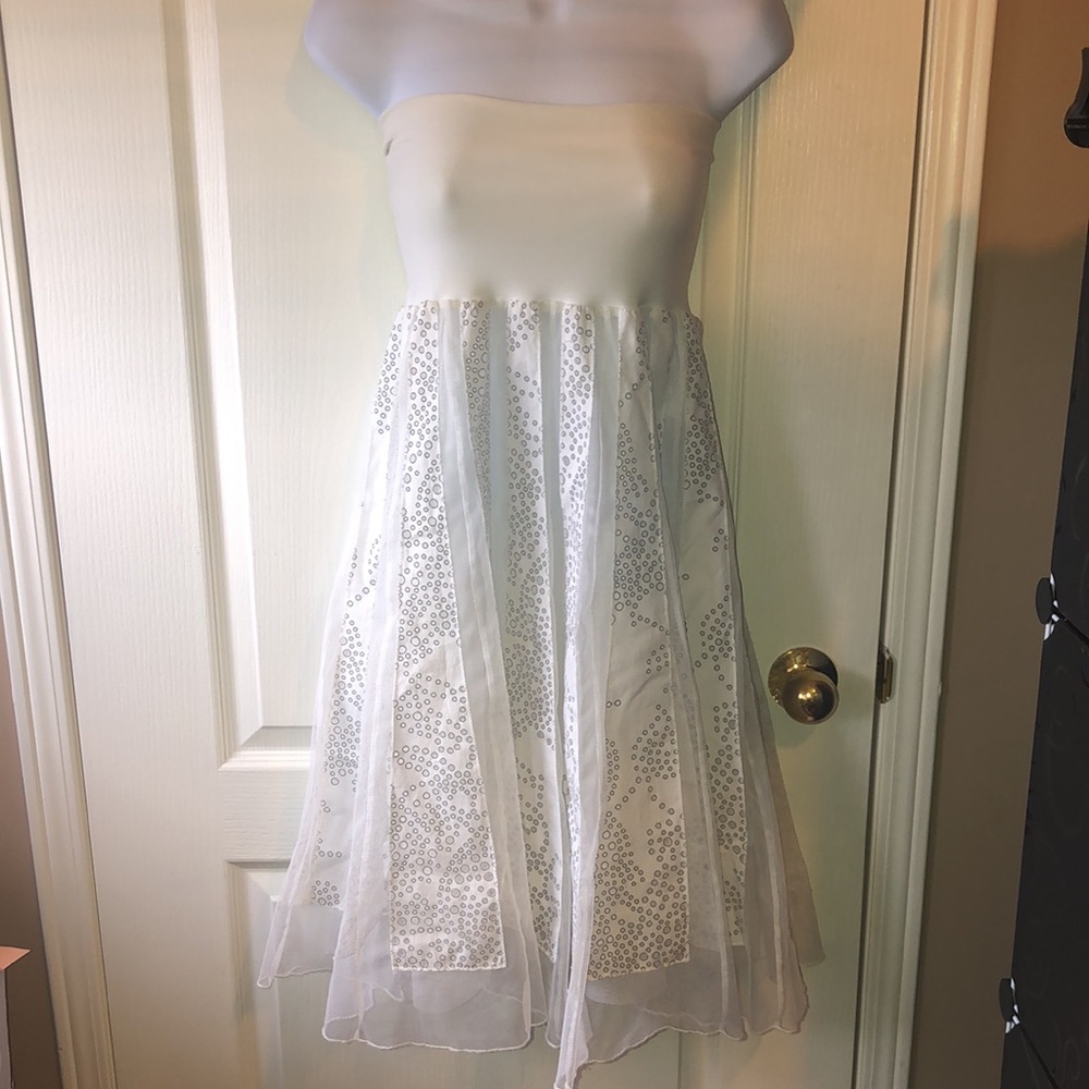 Ariella Dress/Skirt. Size small